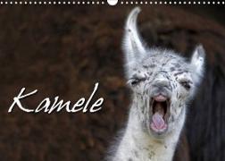 Kamele (Wandkalender 2023 DIN A3 quer)