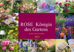 Rose Königin des Gartens (Wandkalender 2023 DIN A2 quer)