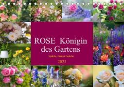 Rose Königin des Gartens (Tischkalender 2023 DIN A5 quer)
