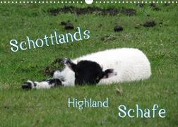 Schottlands Highland Schafe (Wandkalender 2023 DIN A3 quer)