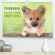 Chihuahua: Kleine Hunde, aber oho (Premium, hochwertiger DIN A2 Wandkalender 2023, Kunstdruck in Hochglanz)