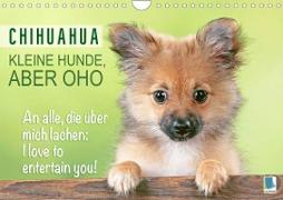 Chihuahua: Kleine Hunde, aber oho (Wandkalender 2023 DIN A4 quer)