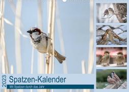 Spatzen-Kalender (Wandkalender 2023 DIN A2 quer)