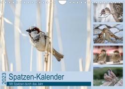 Spatzen-Kalender (Wandkalender 2023 DIN A4 quer)
