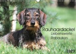 Liebenswerte Rabauken - Rauhaardackel (Wandkalender 2023 DIN A3 quer)