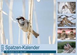 Spatzen-Kalender (Wandkalender 2023 DIN A3 quer)