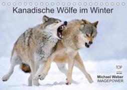 Kanadische Wölfe im Winter (Tischkalender 2023 DIN A5 quer)