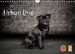 Urban Dogs - Hundekalender der anderen Art (Wandkalender 2023 DIN A4 quer)