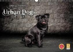 Urban Dogs - Hundekalender der anderen Art (Wandkalender 2023 DIN A3 quer)