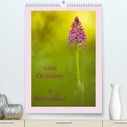 wilde Orchideen in Deutschland (Premium, hochwertiger DIN A2 Wandkalender 2023, Kunstdruck in Hochglanz)