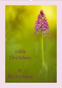 wilde Orchideen in Deutschland (Wandkalender 2023 DIN A2 hoch)