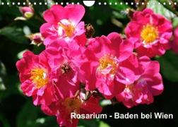 Baden bei Wien - Rosarium (Wandkalender 2023 DIN A4 quer)