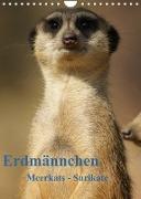 Erdmännchen-Meerkats-Surikate CH Version (Wandkalender 2023 DIN A4 hoch)