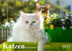 Katzen im Grünen (Wandkalender 2023 DIN A3 quer)