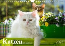 Katzen im Grünen (Wandkalender 2023 DIN A4 quer)