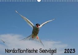 Nordatlantische Seevögel (Wandkalender 2023 DIN A3 quer)