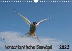 Nordatlantische Seevögel (Wandkalender 2023 DIN A4 quer)