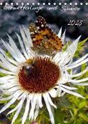Schmetterlilnge und Blumen (Tischkalender 2023 DIN A5 hoch)