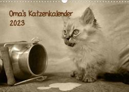 Oma's Katzenkalender 2023 (Wandkalender 2023 DIN A3 quer)