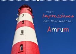 Impressionen der Nordseeinsel Amrum (Wandkalender 2023 DIN A2 quer)