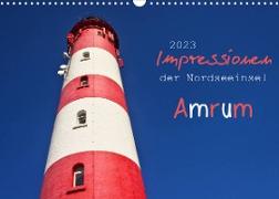 Impressionen der Nordseeinsel Amrum (Wandkalender 2023 DIN A3 quer)
