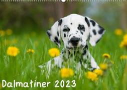 Dalmatiner 2023 (Wandkalender 2023 DIN A2 quer)