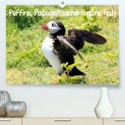Puffins, Papageitauchern ganz nah (Premium, hochwertiger DIN A2 Wandkalender 2023, Kunstdruck in Hochglanz)