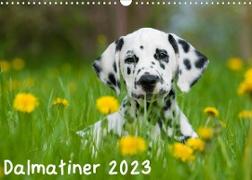 Dalmatiner 2023 (Wandkalender 2023 DIN A3 quer)