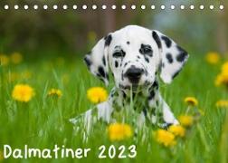 Dalmatiner 2023 (Tischkalender 2023 DIN A5 quer)