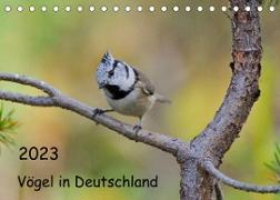 Vögel in Deutschland (Tischkalender 2023 DIN A5 quer)