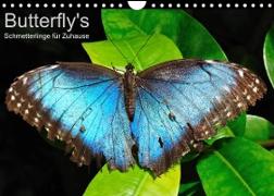 Butterfly's - Schmetterlinge für Zuhause (Wandkalender 2023 DIN A4 quer)
