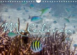 Unterwasserwelt der Malediven III (Wandkalender 2023 DIN A4 quer)