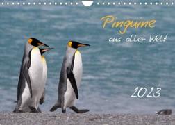 Pinguine aus aller Welt (Wandkalender 2023 DIN A4 quer)