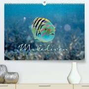 Unterwasserwelt der Malediven II (Premium, hochwertiger DIN A2 Wandkalender 2023, Kunstdruck in Hochglanz)