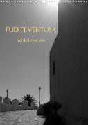 Fuerteventura -schlicht schön (Wandkalender 2023 DIN A3 hoch)