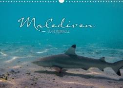 Unterwasserwelt der Malediven I (Wandkalender 2023 DIN A3 quer)