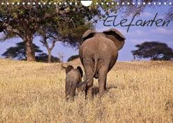 Elefanten (Wandkalender 2023 DIN A4 quer)