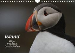 Island: Vögel, Pflanzen, Landschaften (Wandkalender 2023 DIN A4 quer)