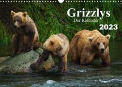 Grizzlys - Der Kalender (Wandkalender 2023 DIN A3 quer)