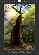 Das Seelenlicht der Bäume (Wandkalender 2023 DIN A4 hoch)