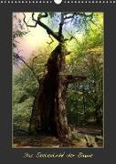 Das Seelenlicht der Bäume (Wandkalender 2023 DIN A3 hoch)