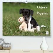Welpen - Puppies (Premium, hochwertiger DIN A2 Wandkalender 2023, Kunstdruck in Hochglanz)