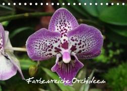 Farbenreiche Orchideen (Tischkalender 2023 DIN A5 quer)