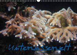 Unterwasserwelt (Wandkalender 2023 DIN A3 quer)