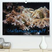 Unterwasserwelt (Premium, hochwertiger DIN A2 Wandkalender 2023, Kunstdruck in Hochglanz)