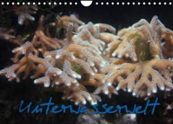 Unterwasserwelt (Wandkalender 2023 DIN A4 quer)