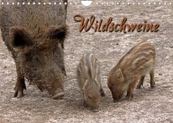 Wildschweine (Wandkalender 2023 DIN A4 quer)