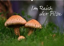 Im Reich der Pilze (Wandkalender 2023 DIN A2 quer)