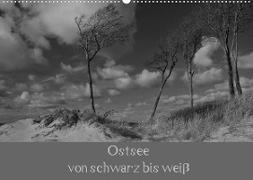 Ostsee - von schwarz bis weiß (Wandkalender 2023 DIN A2 quer)