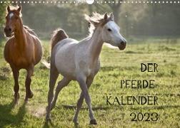 Pferdekalender (Wandkalender 2023 DIN A3 quer)